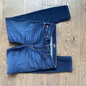 Hudson Jeans Blue Skinny Fit Denim